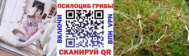 shop формула Ряжск Галлюциногенные грибы Cubensis купить наркоту